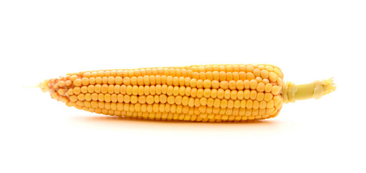 Similar image 1577424