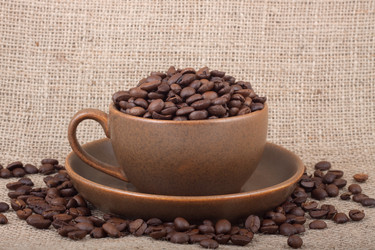 Similar image 1577446