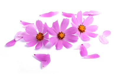 Similar image 1577474