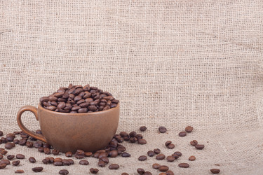 Similar image 1577478