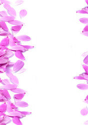 Similar image 1577477