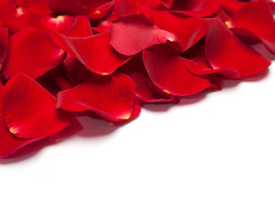 Similar image 1577487