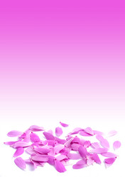 Similar image 1577493