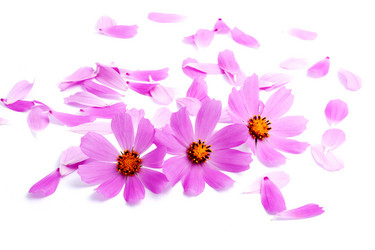 Similar image 1577494