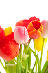 Similar image 1577496