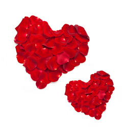 Similar image 1577501