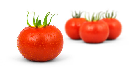 Similar image 1577529