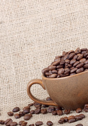 Similar image 1577530