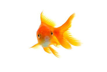 Similar image 1577556