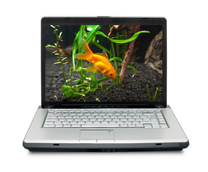 Similar image 1577563