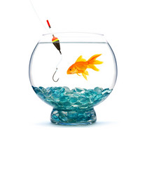 Similar image 1577565