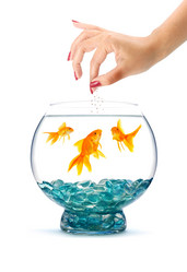 Similar image 1577566