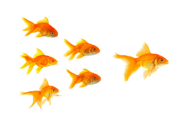 Similar image 1577574