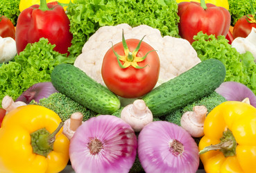 Similar image 1577588