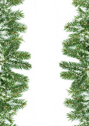 Similar image 1577607