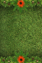 Similar image 1577622