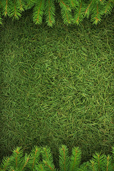 Similar image 1577623