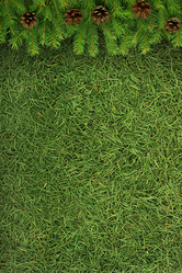 Similar image 1577625