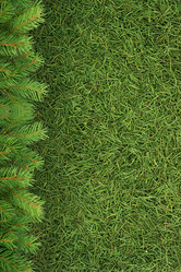 Similar image 1577626