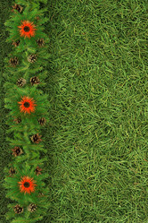 Similar image 1577627