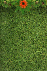 Similar image 1577628