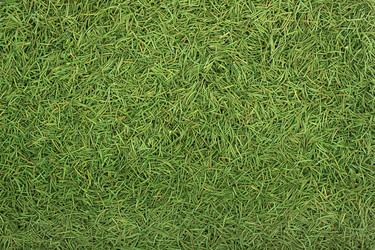 Similar image 1577630