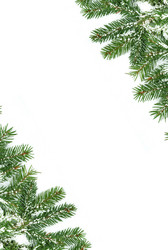 Similar image 1577631