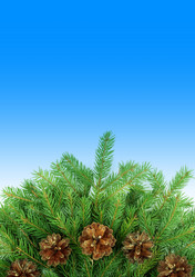 Similar image 1577639