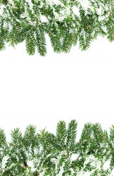 Similar image 1577652