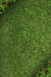 Similar image 1577665