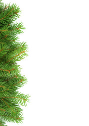 Similar image 1577678