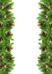 Similar image 1577686