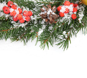 Similar image 1577687