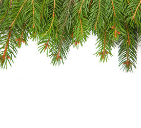 Similar image 1577702