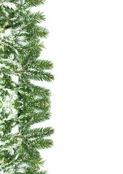 Similar image 1577721