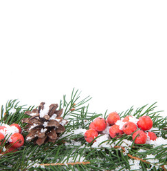 Similar image 1577724