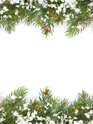 Similar image 1577723