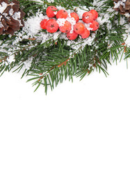 Similar image 1577726