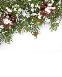 Similar image 1577727