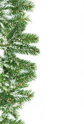 Similar image 1577730