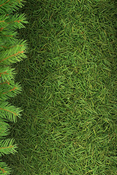 Similar image 1577741