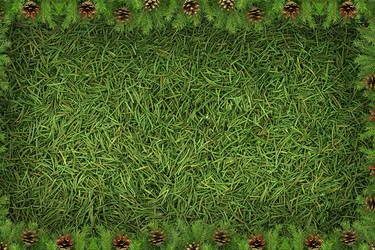 Similar image 1577756