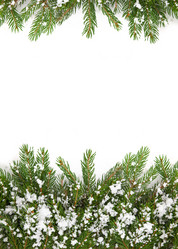 Similar image 1577758