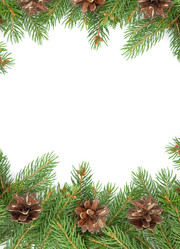 Similar image 1577763