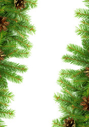 Similar image 1577779