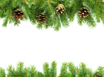 Similar image 1577785