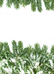 Similar image 1577791