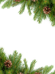 Similar image 1577804