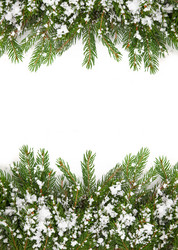 Similar image 1577806