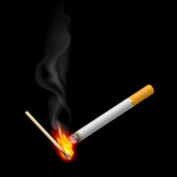 Similar image 1577832